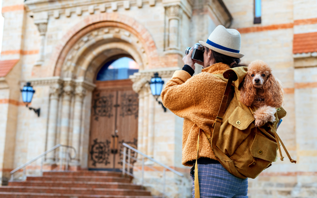 A Guide to Traveling with Pets: Tips and Insights for Stress-Free Adventures